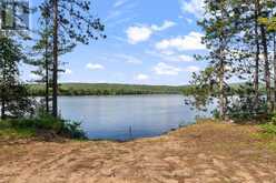 290 HENNESSY TRAIL | Whitewater Region Ontario | Slide Image Two