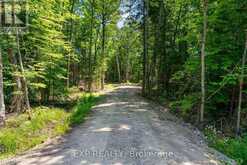 743 LAKEWOODS DRIVE | Madawaska Valley Ontario | Slide Image Forty