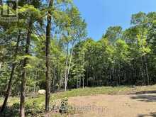 LOT 2 LAKEWOODS DRIVE | Madawaska Valley Ontario | Slide Image Two