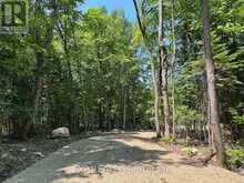 LOT 2 LAKEWOODS DRIVE | Madawaska Valley Ontario | Slide Image Five