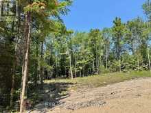 LOT 8 LAKEWOODS DRIVE | Madawaska Valley Ontario | Slide Image Three