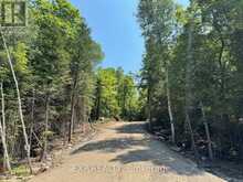 LOT 8 LAKEWOODS DRIVE | Madawaska Valley Ontario | Slide Image Four