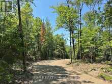 LOT 8 LAKEWOODS DRIVE | Madawaska Valley Ontario | Slide Image Seven