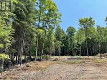 LOT 14 LAKEWOODS DRIVE | Madawaska Valley Ontario | Slide Image One