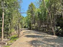 LOT 14 LAKEWOODS DRIVE | Madawaska Valley Ontario | Slide Image Six