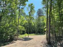 LOT 16 LAKEWOODS DRIVE | Madawaska Valley Ontario | Slide Image Four