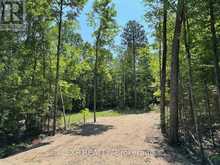 LOT 16 LAKEWOODS DRIVE | Madawaska Valley Ontario | Slide Image Five