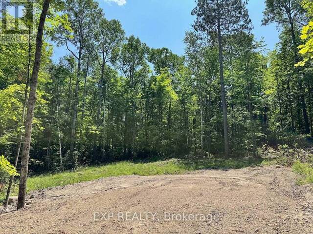 LOT 16 LAKEWOODS DRIVE Madawaska Valley Ontario, K0J 1B0 - Vacant Land For Sale