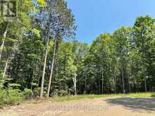 LOT 17 LAKEWOODS DRIVE | Madawaska Valley Ontario | Slide Image One
