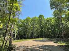 LOT 17 LAKEWOODS DRIVE | Madawaska Valley Ontario | Slide Image Two