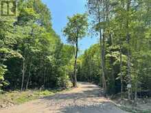 LOT 17 LAKEWOODS DRIVE | Madawaska Valley Ontario | Slide Image Three