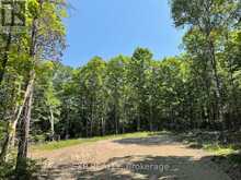 LOT 17 LAKEWOODS DRIVE | Madawaska Valley Ontario | Slide Image Five