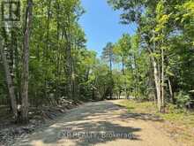 LOT 17 LAKEWOODS DRIVE | Madawaska Valley Ontario | Slide Image Six