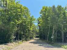 LOT 21 LAKEWOODS DRIVE | Madawaska Valley Ontario | Slide Image Two