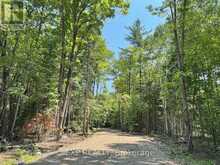 LOT 21 LAKEWOODS DRIVE | Madawaska Valley Ontario | Slide Image Three