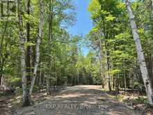 LOT 21 LAKEWOODS DRIVE | Madawaska Valley Ontario | Slide Image Four
