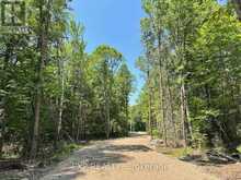 LOT 21 LAKEWOODS DRIVE | Madawaska Valley Ontario | Slide Image Five