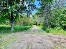 19626 41 HIGHWAY | Addington Highlands Ontario | Slide Image Thirty-one