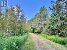 19626 41 HIGHWAY | Addington Highlands Ontario | Slide Image Thirty-three