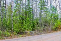 0 LOWER CRAIGMONT ROAD | Madawaska Valley Ontario | Slide Image Twelve