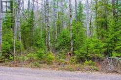 0 LOWER CRAIGMONT ROAD | Madawaska Valley Ontario | Slide Image Thirteen