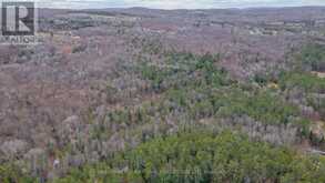 0 LOWER CRAIGMONT ROAD | Madawaska Valley Ontario | Slide Image Seventeen