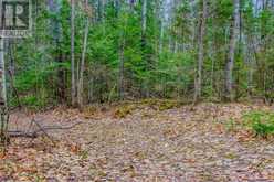 0 LOWER CRAIGMONT ROAD | Madawaska Valley Ontario | Slide Image Five