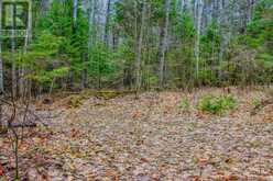 0 LOWER CRAIGMONT ROAD | Madawaska Valley Ontario | Slide Image Six