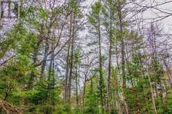0 LOWER CRAIGMONT ROAD | Madawaska Valley Ontario | Slide Image Eight