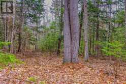 00 LOWER CRAIGMONT ROAD | Madawaska Valley Ontario | Slide Image Eight
