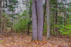 00 LOWER CRAIGMONT ROAD | Madawaska Valley Ontario | Slide Image Nine