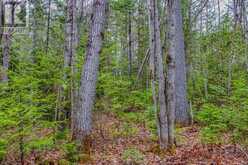 000 LOWER CRAIGMONT ROAD | Madawaska Valley Ontario | Slide Image Fifteen
