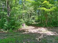 112 GOLFERS LANE | Madawaska Valley Ontario | Slide Image Forty-three