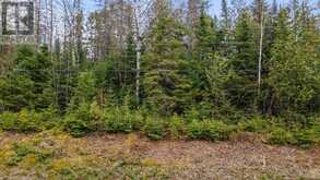 0 SIBERIA ROAD | Madawaska Valley Ontario | Slide Image Five