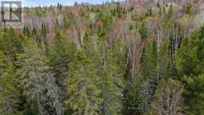 0 SIBERIA ROAD | Madawaska Valley Ontario | Slide Image Six