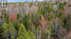 0 SIBERIA ROAD | Madawaska Valley Ontario | Slide Image Seven