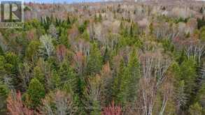 0 SIBERIA ROAD | Madawaska Valley Ontario | Slide Image Eight