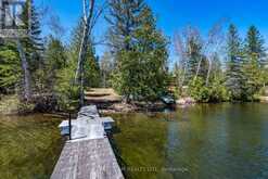 527 B LORWELL LAKE DRIVE | Killaloe, Hagarty and Richards Ontario | Slide Image Forty