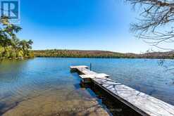 527 B LORWELL LAKE DRIVE | Killaloe, Hagarty and Richards Ontario | Slide Image Five