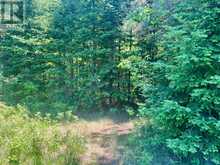 00 FOYMOUNT ROAD | Eganville Ontario | Slide Image Thirty-two