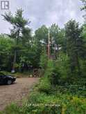 20 PEPLINSKIE HOMESTEAD ROAD | Madawaska Valley Ontario | Slide Image Nineteen