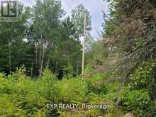 20 PEPLINSKIE HOMESTEAD ROAD | Madawaska Valley Ontario | Slide Image Twenty-three