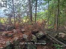 20 PEPLINSKIE HOMESTEAD ROAD | Madawaska Valley Ontario | Slide Image Seven