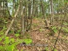 20 PEPLINSKIE HOMESTEAD ROAD | Madawaska Valley Ontario | Slide Image Eight