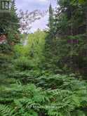 PT LT 8 OLD BARRY'S BAY ROAD | Madawaska Valley Ontario | Slide Image Ten