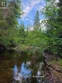 PT LT 8 OLD BARRY'S BAY ROAD | Madawaska Valley Ontario | Slide Image Twelve