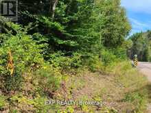 PT LT 8 OLD BARRY'S BAY ROAD | Madawaska Valley Ontario | Slide Image Three