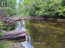 PT LT 8 OLD BARRY'S BAY ROAD | Madawaska Valley Ontario | Slide Image Four