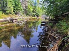 PT LT 8 OLD BARRY'S BAY ROAD Madawaska Valley Ontario, K0J 1L0