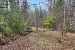 1374 HAVENSFORD DRIVE | Highlands East Ontario | Slide Image Seventeen